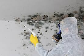 Best Air Quality Testing for Mold Spores  in New Paris, OH